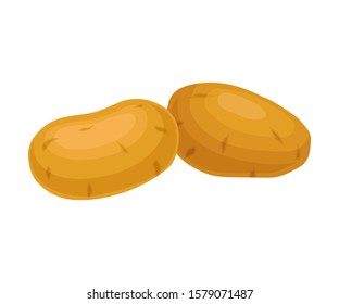 Potatoes Are The Most Energy-packed Vegetable For Healthy Diet Vector Illustration Isolated On White Background