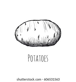 potatoes on a white background