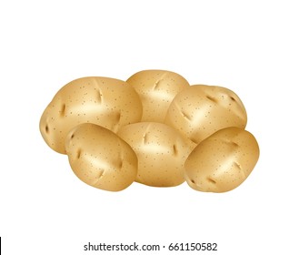 Potatoes on white background