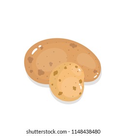 Potatoes on a white background. Isolated vector illustration