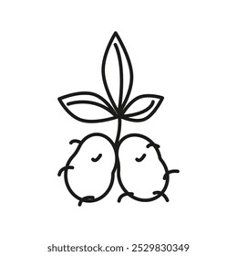 potatoes plant icon flat line symbol set.
