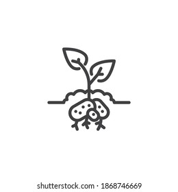 Potatoes plant line icon. linear style sign for mobile concept and web design. Potatoes growing underground outline vector icon. Symbol, logo illustration. Vector graphics