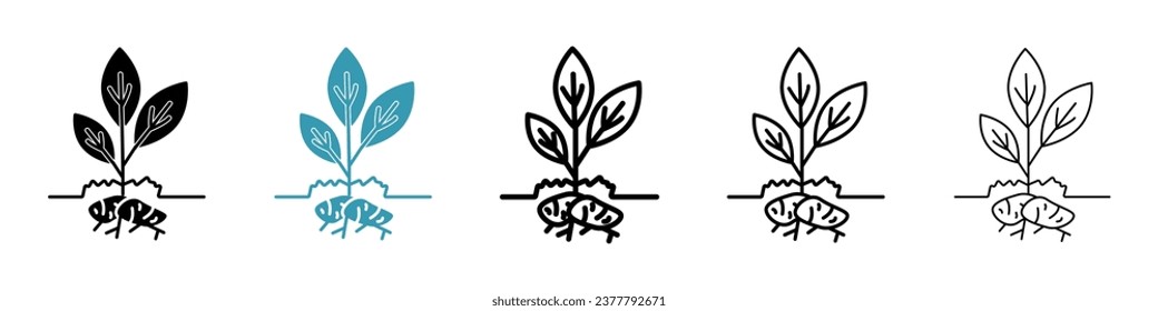 Potatoes plant sign icon set in black filled and outlined style.