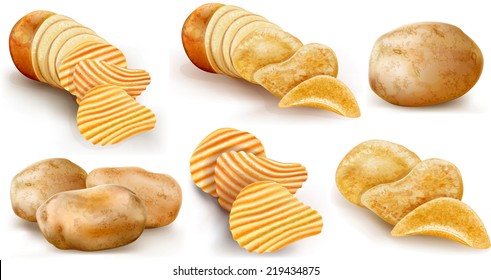 potatoes and potato chips and cut potato tubers on a white background. vector illustration