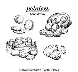 potatoes set. bag of potatoes and box. hand drawn vector illustrations