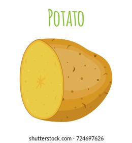 Potatoes set, brown tasty vegetable. Organic food. Made in cartoon flat style. Vector illustration