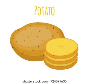 Potatoes set, brown tasty vegetable. Organic food. Made in cartoon flat style. Vector illustration