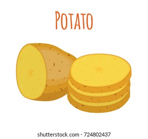 Potatoes set, brown tasty vegetable. Organic food. Made in cartoon flat style. Vector illustration