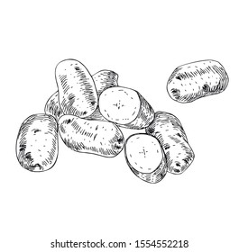 Potatoes set in line art style.
