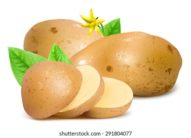 Potatoes with slices, leaves and blossom. Vector illustration