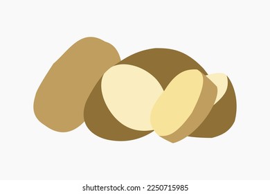 Potatoes vector. Carbohydrate food, main food for us. Isolated potatoes vector.