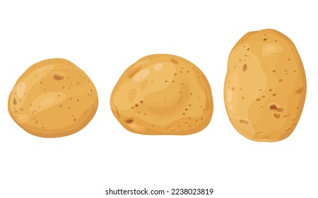 Ilustración vectorial de patatas. aislado de fondo blanco. Vector eps 10. perfecto para elementos de papel o diseño