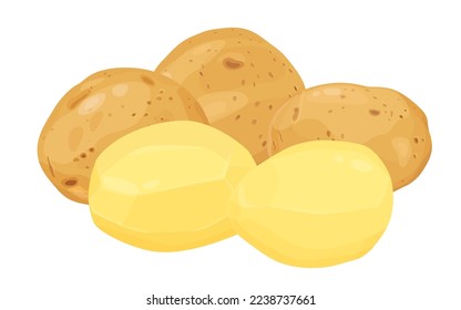 Potatoes vector illustration. isolated on white background. Vector eps 10. perfect for wallpaper or design elements