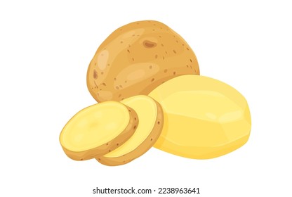 Potatoes vector illustration. isolated on white background. Vector eps 10. perfect for wallpaper or design elements