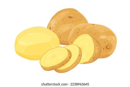 Potatoes vector illustration. isolated on white background. Vector eps 10. perfect for wallpaper or design elements