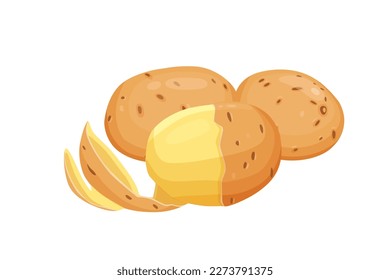 Potatoes vector illustration. isolated on white background. Vector eps 10. perfect for wallpaper or design elements