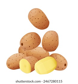 Potatoes vector illustration. isolated on white background. Vector eps 10. perfect for wallpaper or design elements