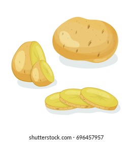 Potatoes vector illustration isolated on white background