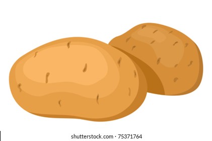 The potatoes. Vector illustration. Isolated on white background.