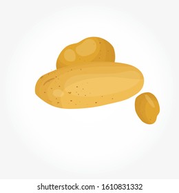 Potatoes vector illustration. Isolated white background.