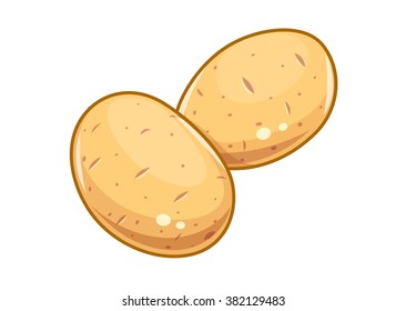 Potatoes vector illustration. Isolated white background. Transparent objects used for lights and shadows drawing
