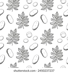 Potatoes vector seamless pattern Hand drawn engraved food background with potato plant fruit, leaf, heaps, whole vegetables, sliced pieces. Drawn sketch style ornament for paper, menu, wrapping, label