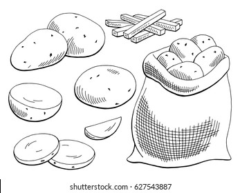 Potatoes vegetable graphic black white isolated sketch illustration vector