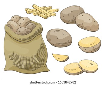 Potatoes vegetable graphic color isolated sketch illustration vector