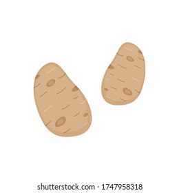 Icono de ilustración vectorial de patatas. Juego de patatas marrones dibujado a mano. Aislado.