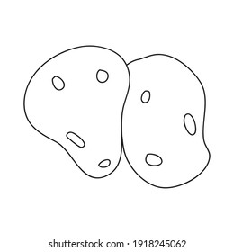 potatoes vegetables icon over white background, line style, vector illustration