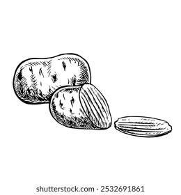 Potatoes, whole and sliced. Vector graphics with images of potatoes. Hand-drawn black and white illustrations. On a white background. Great for labels, banners, posters and packages.