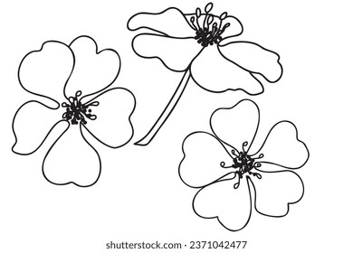 The Potentilla flower is painted with a black outline, it is intended for cards, printouts, March 8, Valentine's Day, tattoos and other occasions.