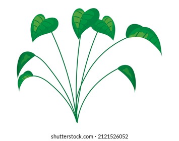 pothos plant icon on white background