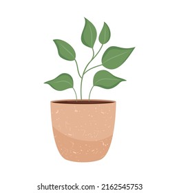 pothos plant icon on white background