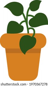 Pothos plant in a pot, icon illustration, vector on white background