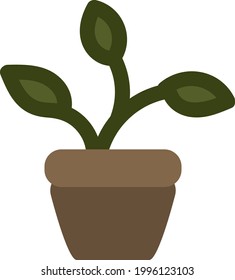 Pothos plant in pot, illustration, on a white background.