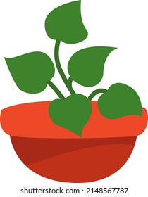 Pothos plant in pot, illustration, vector on a white background.