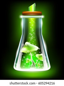 Potion of magic mushrooms in a laboratory flask on a black background