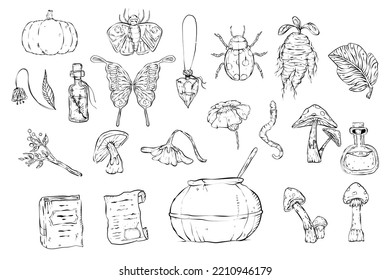 Potion making stuffs witchcraft outline tattoo style for halloween decoration