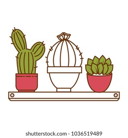 pots with desert plants in shelf