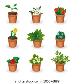 Pots with flowers