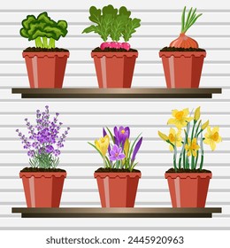 Pots with flowers and vegetables.Vector illustration with flowers and vegetables in pots on wooden shelves.