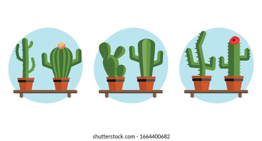 Pots of indoor plants. Potted cactus set