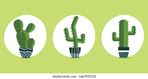 Pots of indoor plants. Potted cactus set
