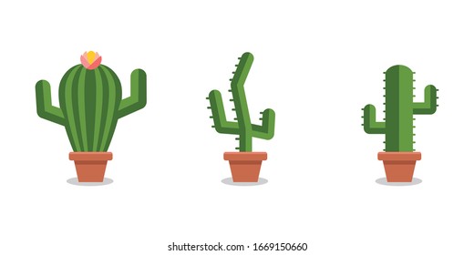 Pots of indoor plants. Potted cactus set