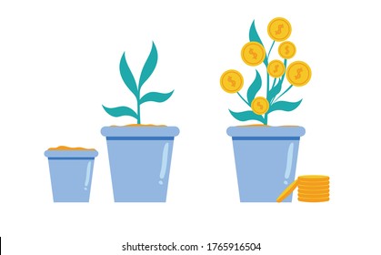 Pots with money trees background. Modern illustration slider site page. The concept of growing a business like a tree. Web banner to grow your business. Vector image of coins design.