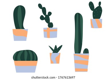 Pots with plants / cacti