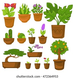 Pots plants with flowers and leaves set. Vector illustration. Isolated on white.