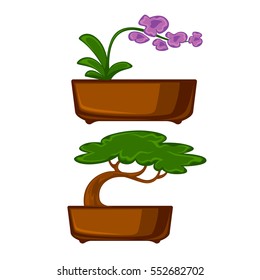 Pots plants with flowers and leaves set. Vector illustration. Isolated on white.