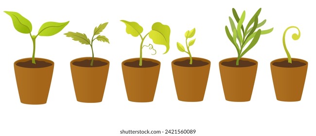 Cacerolas con plantas brotan. Planta de jardinería. Las semillas brotan en el suelo. Sprout, planta, íconos de cultivo de árboles. La mano del vector dibuja la ilustración plana aislada en el fondo blanco.